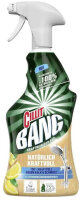 Cillit Bang Kraftreiniger Bad 750ml
